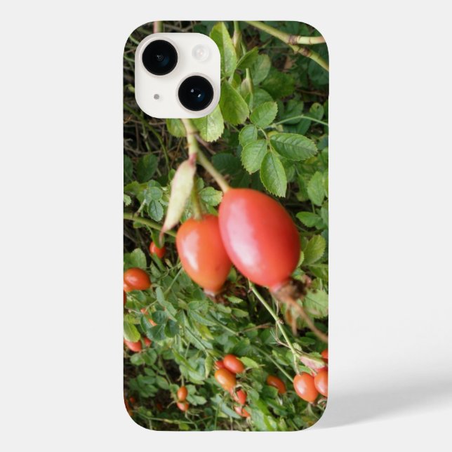 Juicy Red Rose Hips Case-Mate iPhone Case (Back)