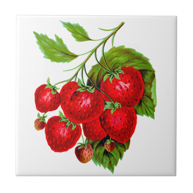 Juicy Red Strawberries Tile (Front)