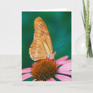 Julia Card