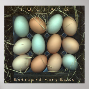 Julia's Extraordinary Eggs Poster