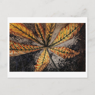 Julie de Graag Postcard