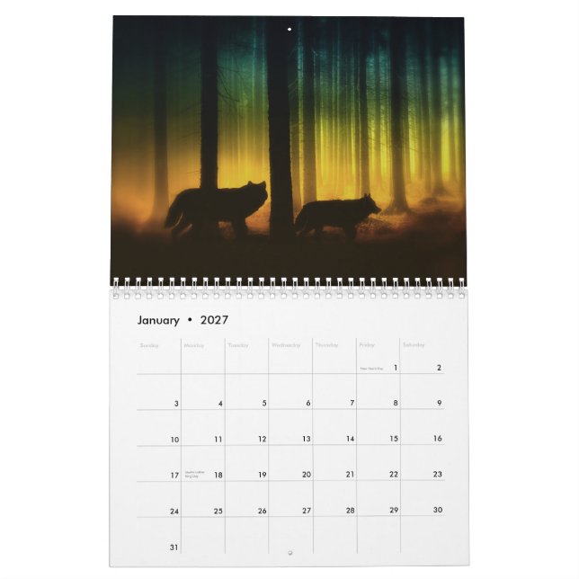Julie Fain Fantasy Silhouettes Art Calendar (Jan 2027)