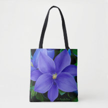 Julie Margaglione Designer Tote