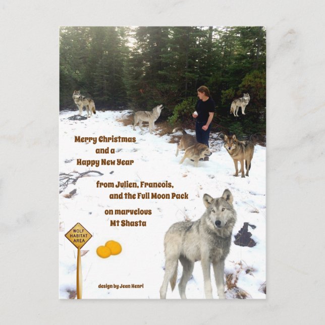 Julien, Francois, and the Full Moon Pack Postcard (Front)