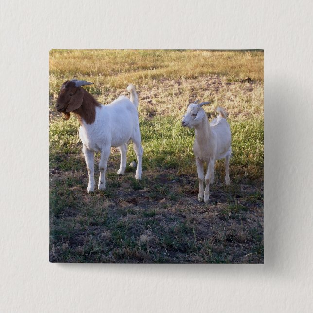July2008_TwoGoats_v2 2 Inch Square Button (Front)