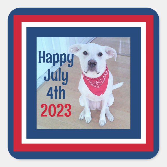 July 4 Red White Blue Striped Photo of Cute Dog Square Sticker (Front)