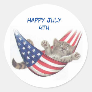 July 4th Cat  Classic Round Sticker