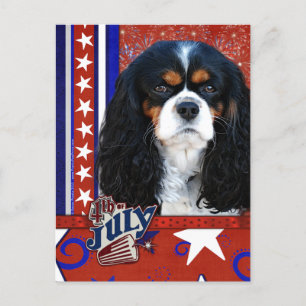 July 4th Firecracker - Cavalier - Tri-colour Postcard