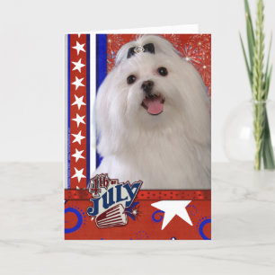 July 4th Firecracker - Maltese Card