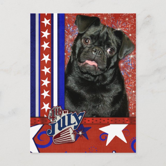 July 4th Firecracker - Pug - Ruffy Postcard (Front)