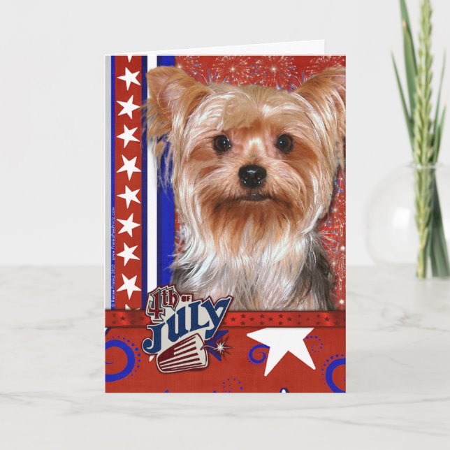July 4th Firecracker - Yorkshire Terrier Card (Front)