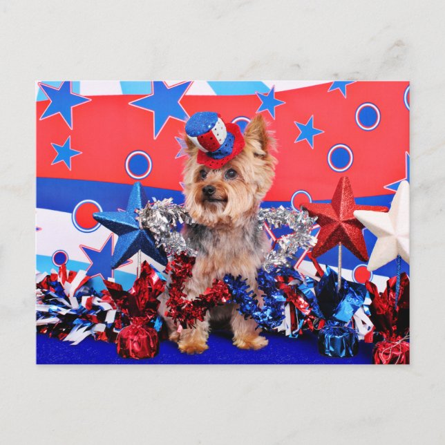 July 4th - Yorkie - Vinnie Postcard (Front)