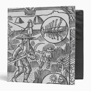 July, haymaking, Cancer Binder