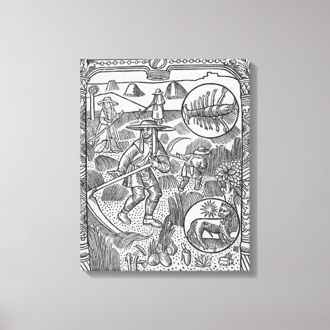 July, haymaking, Cancer Canvas Print (Front)