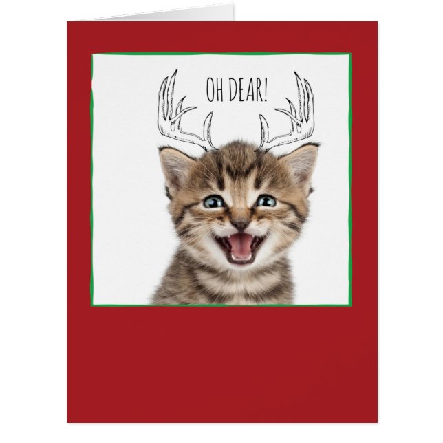 Jumbo Christmas Cats & Doodles Christmas Card (Front)