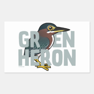 Jumbo Green Heron Sticker