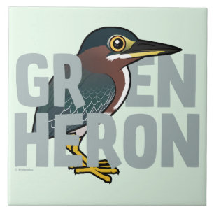 Jumbo Green Heron Tile