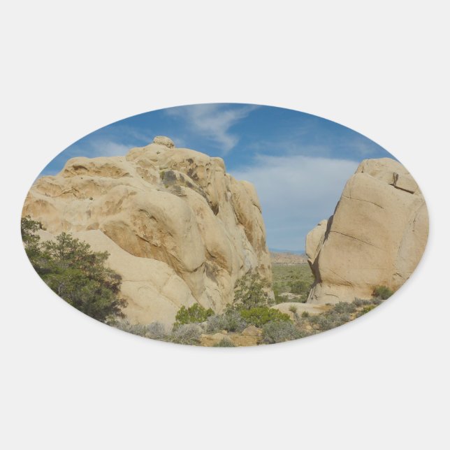 Jumbo Rocks at Joshua Tree National Park Oval Sticker (Front)
