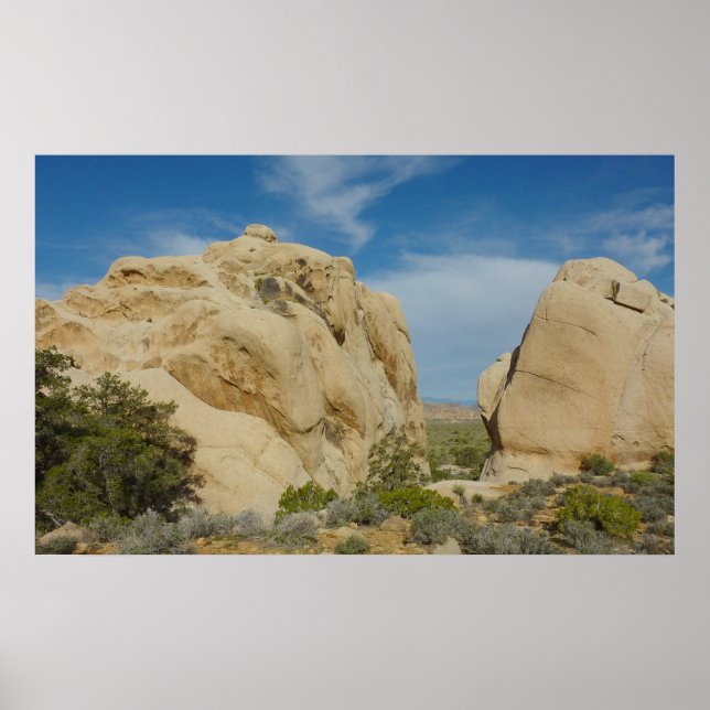 Jumbo Rocks at Joshua Tree National Park Poster (Front)