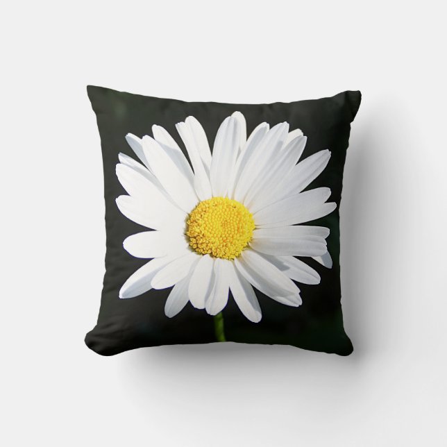 Jumbo White Shasta Daisy Flower Pillow (Front)
