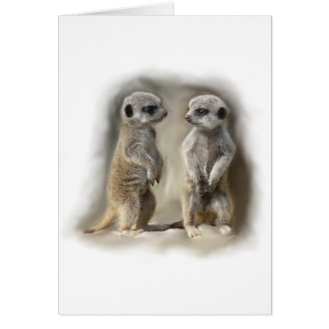 Jumeaux de bébé de Meerkat (Devant)