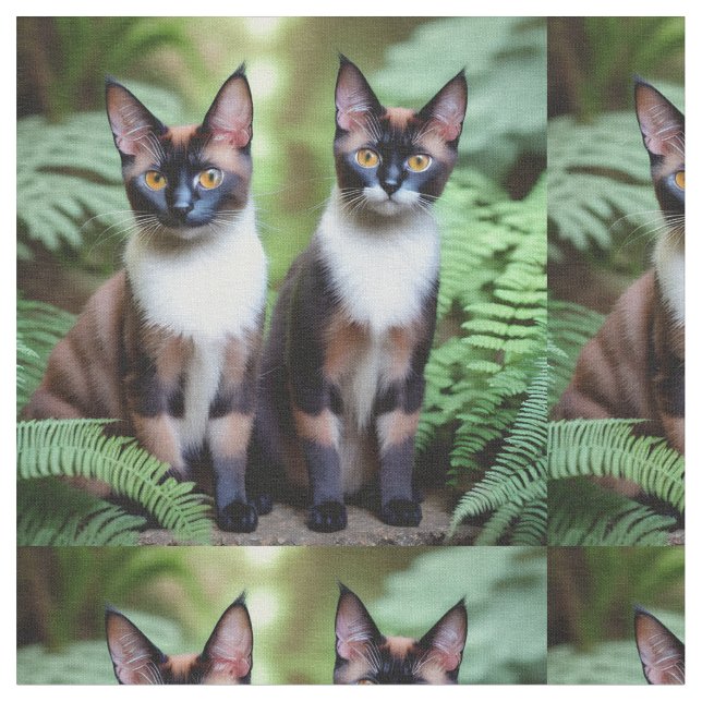 Jumeaux de chat siamois au chocolat, tissu (Fermer)