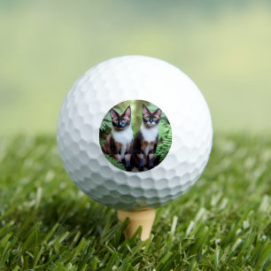 Jumeaux de Chat Siamois, Balle De Golf