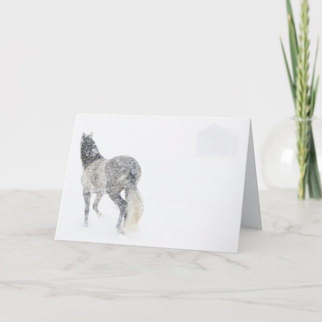 Jument dans une carte de voeux de cheval de la (Devant)