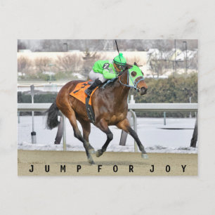 Jump for Joy -Reylu Gutierrez (1) Postcard