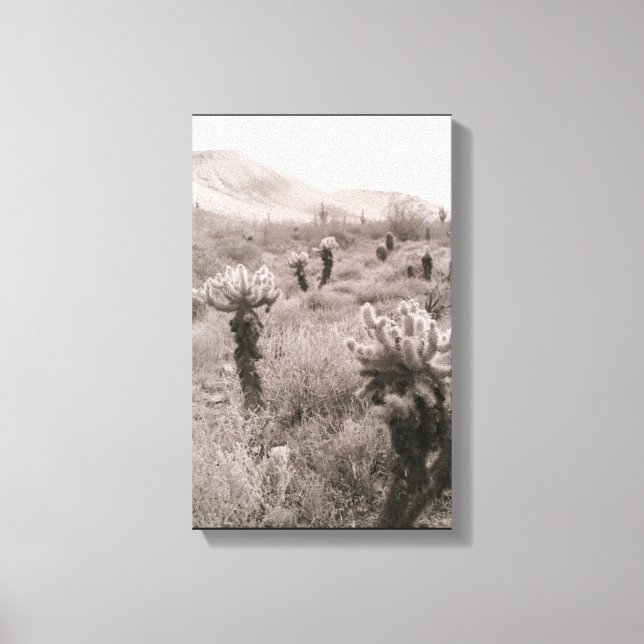 Jumping Cholla Cactus Desert B&W Photo Prints (Front)