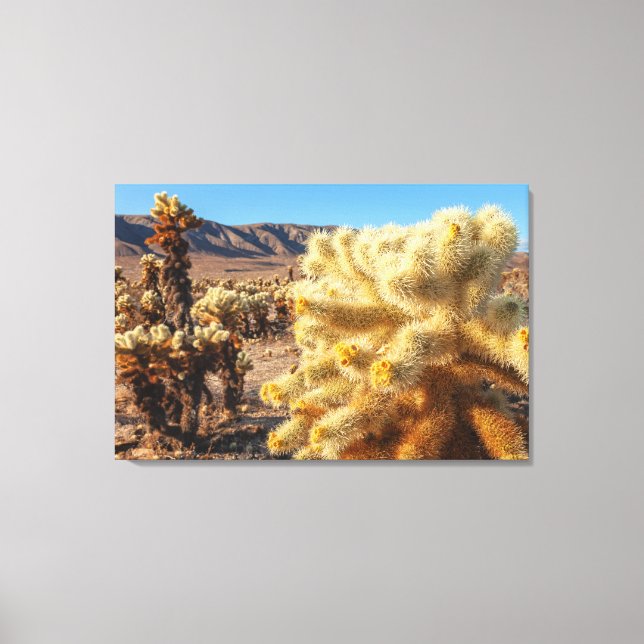 Jumping Chollas Canvas Print (Front)