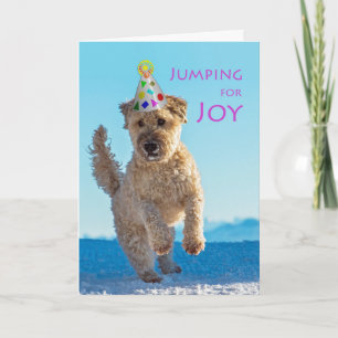 Jumping for Joy, Wheaten Terrier, Birthday Card