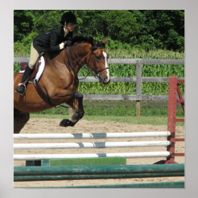 Jumping Horse Poster Print (Front)