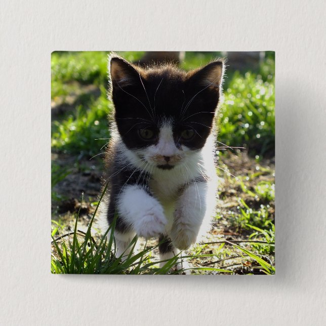 Jumping Kitty 2 Inch Square Button (Front)