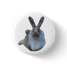 Jumping Paddy Badge