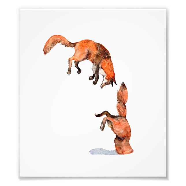 Jumping Red Fox Photo Print (Front)
