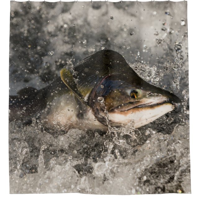 Jumping Salmon (Front)