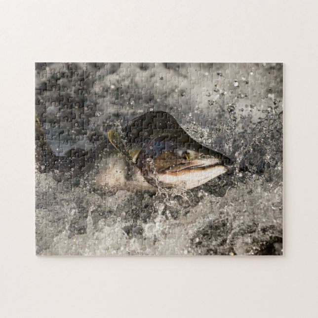 Jumping Salmon Jigsaw Puzzle (Horizontal)