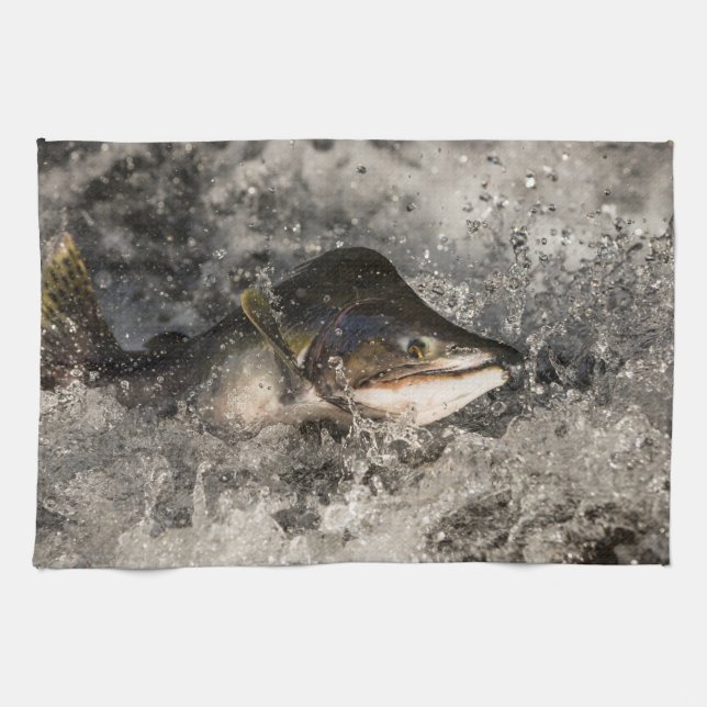 Jumping Salmon Kitchen Towel (Horizontal)