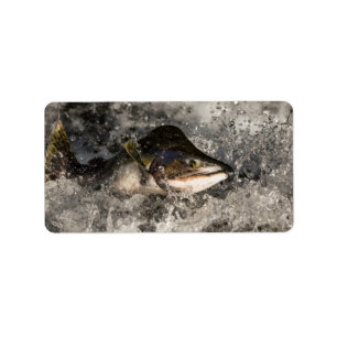 Jumping Salmon Label