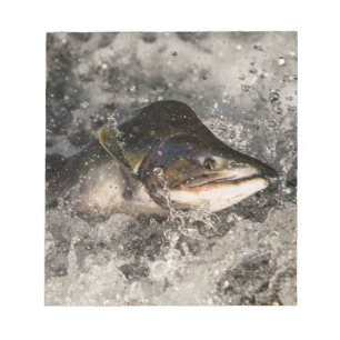 Jumping Salmon Notepad