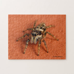 Spider Jigsaw Puzzles | Zazzle CA