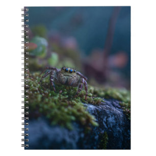 Jumping Spider Moss Notebook
