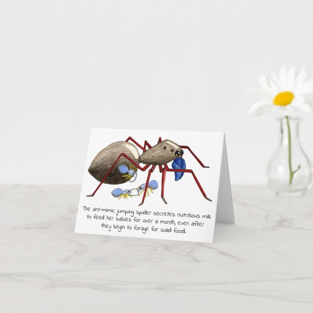 Jumping Spider Mother's Day Card (Small Plant)