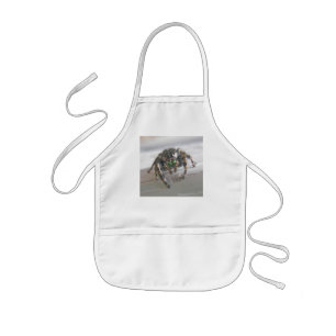 Jumping Spider (Phiddipus audax) Kid's Apron