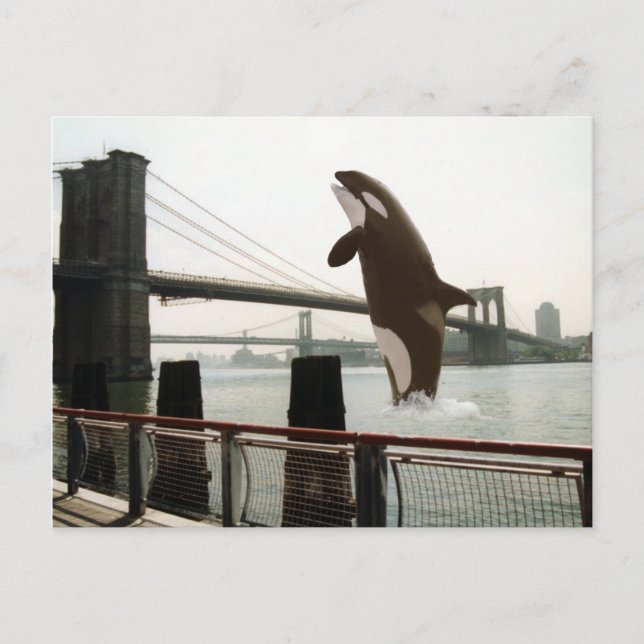 Jumping the Brooklyn Bridge Postcard (Front)