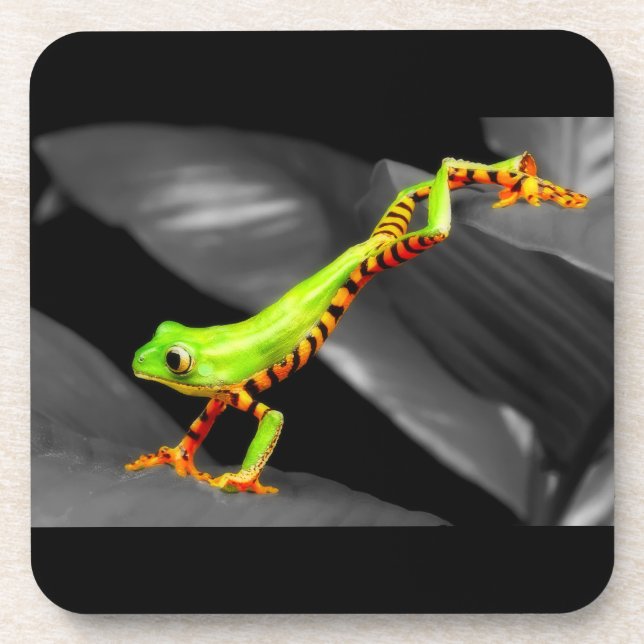 Jumping Tree Frog Coaster (Front)
