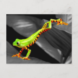 Jumping Tree Frog Postcard