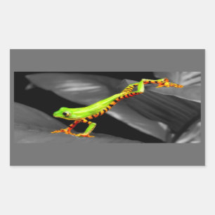 Jumping Tree Frog Sticker