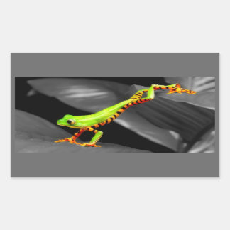 Jumping Tree Frog Sticker